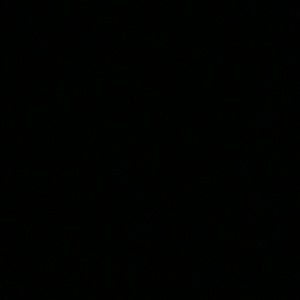 Meet your Posher, Lexi